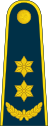 17-Lithuania Air Force-LTC.svg