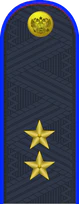 17.погон ФССП - генерал-лейнтенант.png