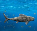 Amazichthys.jpg