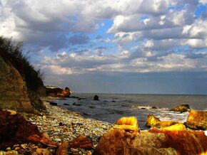 Black Sea Shore.jpg