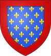 Blason duche fr Anjou.png