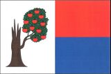 Флаг