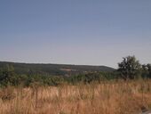 Куадрос