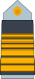 14. AAF-COL.svg