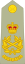 Australian Army OF-10.svg
