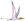 Dimorphodon2DB white background.jpg