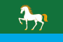 Flag of Abzelilovsky rayon (version).svg