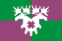 Flag of Younginskoe.png