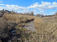 Kiziyarsky stream (Melitopol, Zaporizhia Oblast, Ukraine) 01.JPG