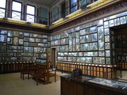 Marianne North Gallery 821.JPG