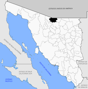 Nogales en Sonora.svg