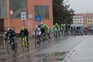 Peloton, Milan-Sanremo 2013, Savona.jpg