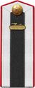 Red Army cadet armored corps engineer service school 1943 shoulder straps.jpg