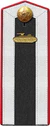 Red Army cadet armored corps engineer service school 1943 shoulder straps.jpg