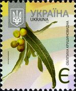 Stamps of Ukraine, 2013-54.jpg