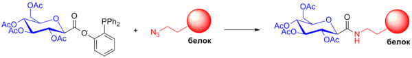 Traceless Staudinger Ligation 3.png