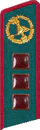 петлица 1937
