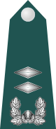 11.SKA-1LT.svg