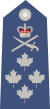 CDN-Air Force-Gen-2015-Shoulder.svg