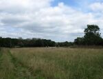 Ditchling Common - geograph.org.uk - 1446278.jpg