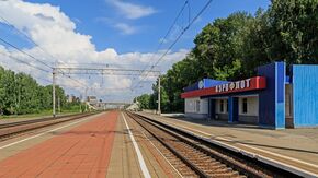 Nsk-Ob Aeroflot platform 07-2016.jpg