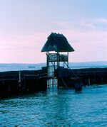 Pfahlbauten - Palisade (3253846552).jpg