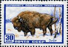 The Soviet Union 1957 CPA 1990 stamp (European Bison).jpg