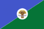 Flag of Veshkaymsky rayon (Ulyanovsk oblast) (2006).png