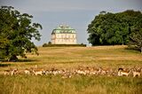 Jægersborg Dyrehave - Hermitage Pavilion and deer.jpg