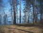 Sneads FL Three Rivers SP Lake Seminole05.JPG