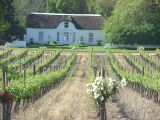 Stellenbosch-region.JPG