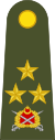 Turkey-army-OF-8.svg