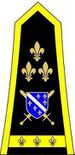 General-pukovnik