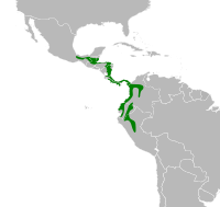 Arremon aurantiirostris map.svg