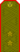 Belarus MIA—02 Lieutenant General rank insignia (Olive)—Sewn.png