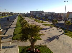 Khamis Mushayt Field walk.jpg