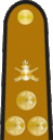 Lithuania Army OF-5 · artillery - service dress (1936-1940).gif