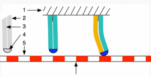 Piezomotor type bimorph.gif