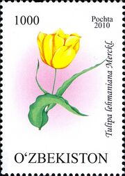Stamps of Uzbekistan, 2010-69.jpg