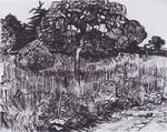 Van Gogh - Blick in den Park von Arles.jpeg