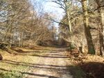 Woodland - Plashetts - geograph.org.uk - 1613503.jpg