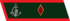 бригветврач