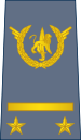 09-ROCongo Air Force-1LT.svg