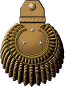 Генерал-лейтенант морской артиллерии