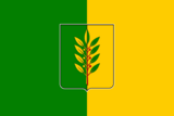 Флаг