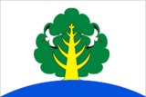Флаг