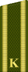 Russia-Army-OF-(D)-2010.svg