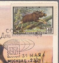 The Soviet Union 1957 CPA 1992 stamp (Eurasian elk). Cut from a maximum card with Jacobs 1271 postmark.jpg