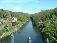 Downstream from the ironbridge - geograph.org.uk - 267024.jpg