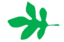 Leaf morphology lobed.png